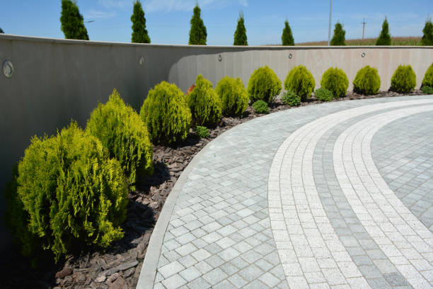 Reasons to Select Us for Your Driveway Paving Requirements in Village Of Waukesha, WI